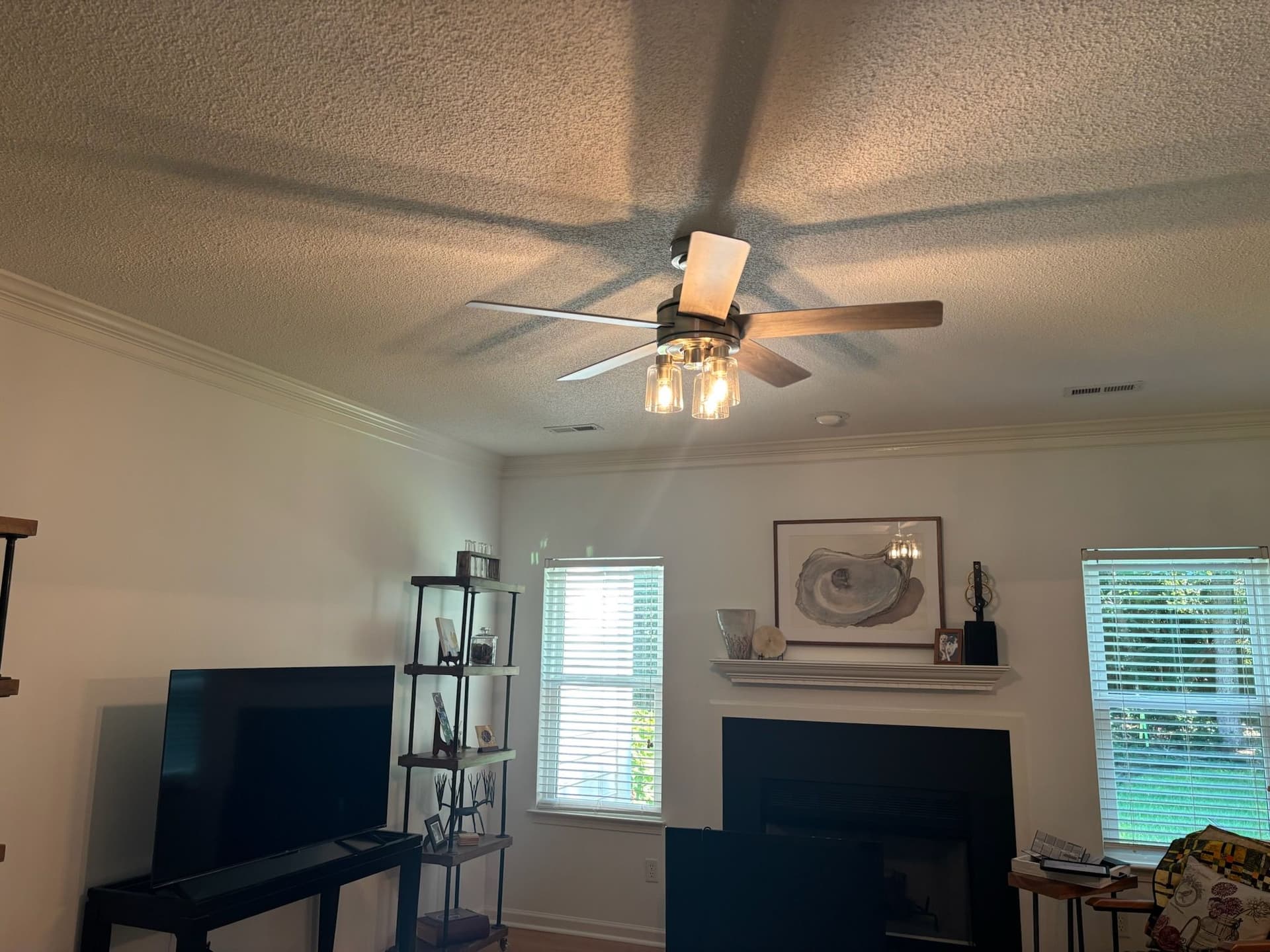 Enhanced Living with Stylish Ceiling Fan Installation image