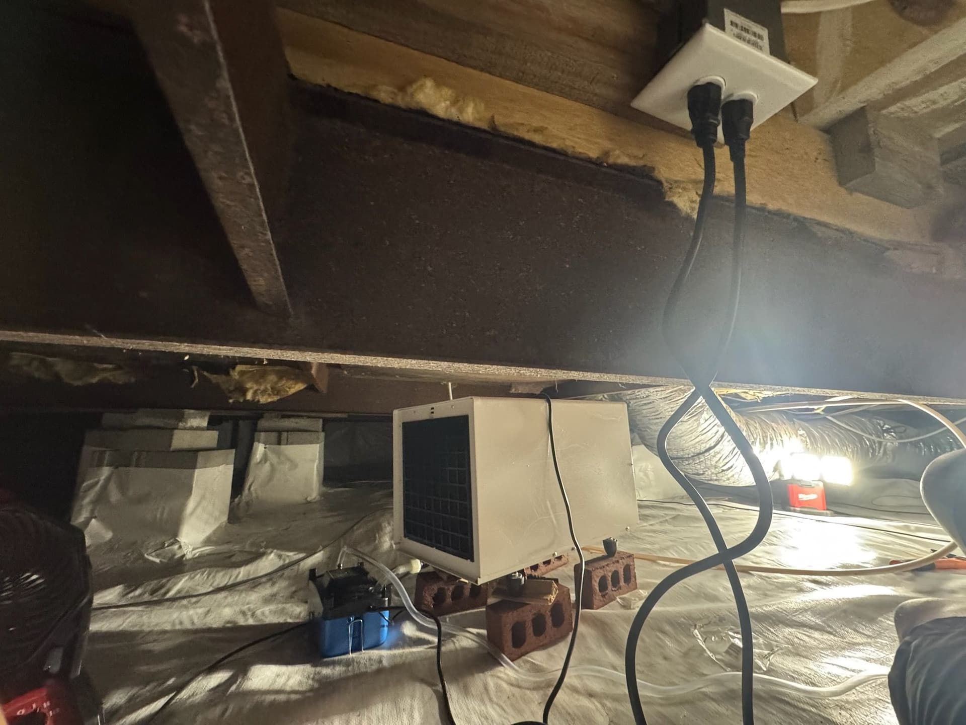Ensuring Reliable Crawl Space Solutions image