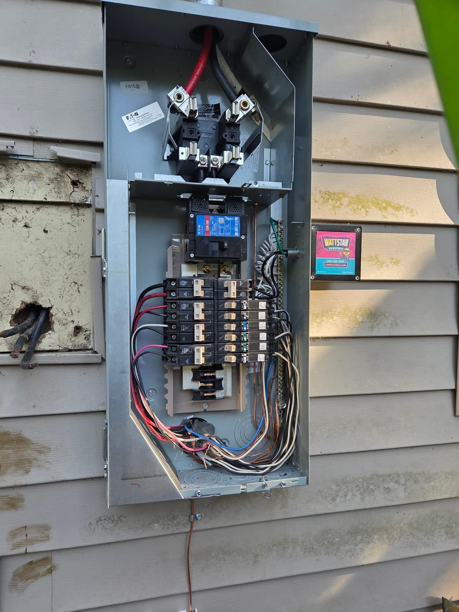 Gallery photos for Meter Panel Combo with Full Surge Protection Installed for Brunswick Family: Image #2